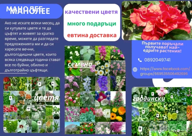 Растения