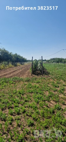 ПРОДАВАМ ПАРЦЕЛ 2800 кв. м, снимка 9 - Парцели - 55089305