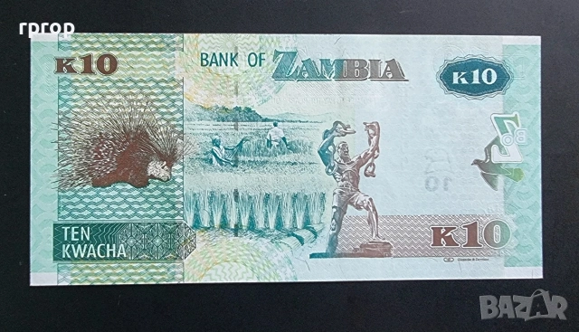 7 евро за трите.
Замбия.
2 , 5 и 10 квача.
Серия  2012 година.
UNC., снимка 7 - Нумизматика и бонистика - 47879157