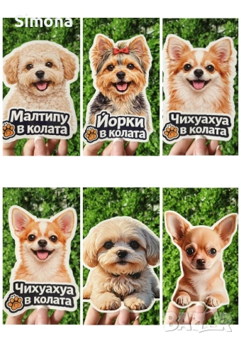 Стикери за кола - куче/котка в колата - различни породи, UV защита, снимка 7 - Други стоки за животни - 54381272