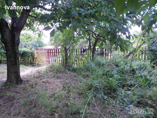 Собственик продава къща с двор на Северното черноморие, снимка 6 - Къщи - 54878476