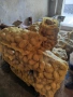 Картофи Сорая , снимка 2