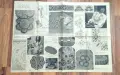 14 броя приложение списание ЛАДА брой 4 1965 година кройки мода плетива шиене бродерия след 1964 г., снимка 6