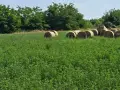 Продавам ролонни бали, снимка 4