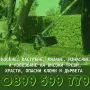 Косене. Рязане на храсти и опасни дървета. Разчистване на терени., снимка 1