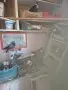 Подарявам и продавам Разградски гълъби, снимка 3