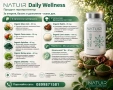 Daily Wellness от Natuir - енергия, баланс и дълголетие. Геропротектор без аналог, снимка 6
