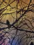 Картина с варак, снимка 3