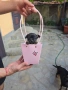Продавам малки пинчери 🌸, снимка 6