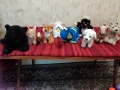 Продавам плюшени играчки , снимка 1