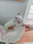 чихуахуа мъжки 3мец., снимка 5