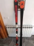 ски Dynastar master speed SL 173см, снимка 2