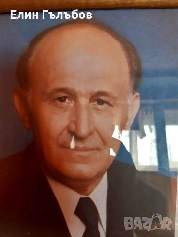 Портрет на Тодор Живков, 25/35 см. в дървена рамка, снимка 2 - Антикварни и старинни предмети - 54157865