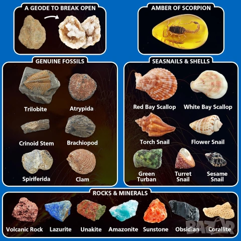 Oбразователна STEM играчка Комплектът за разкопки PIBEX Volcano & Ocean Fossil Dig Kit, снимка 4 - Образователни игри - 54975999
