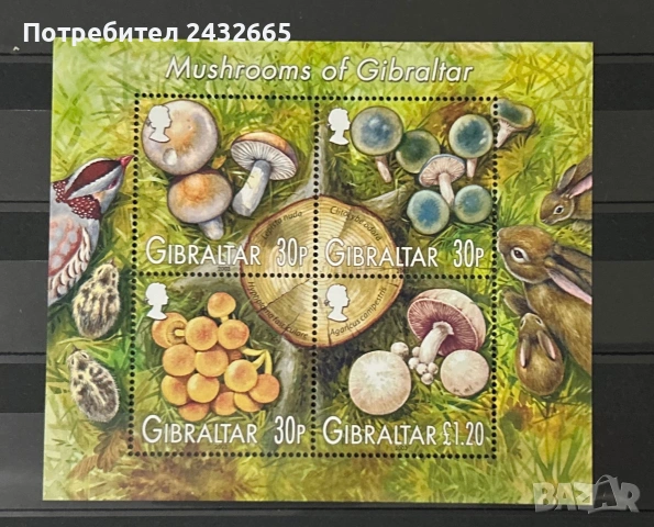492. Гибралтар 2003 - “ Флора и Фауна. Гъбите на Гибралтар ” , **, MNH