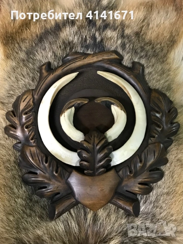 Поставки за ловни трофеи, снимка 12 - Оборудване и аксесоари за оръжия - 54237967