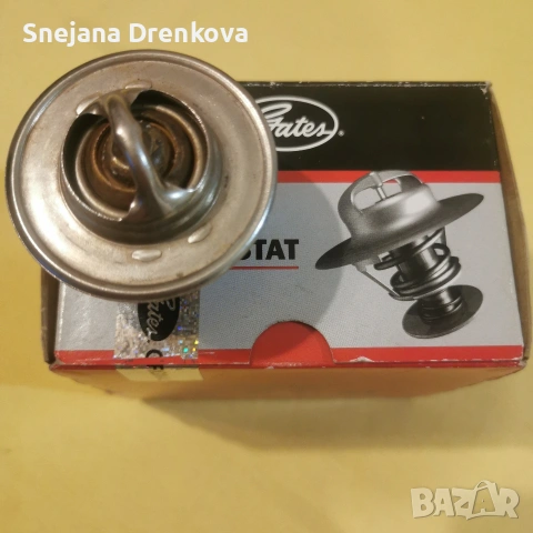 Термостат за голф 3