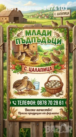 Манджурски ПЪДПЪДЪЦИ