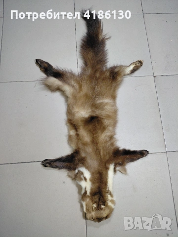 Кожа от белка.0тлично обработена и размер., снимка 3 - Чанти - 54378057