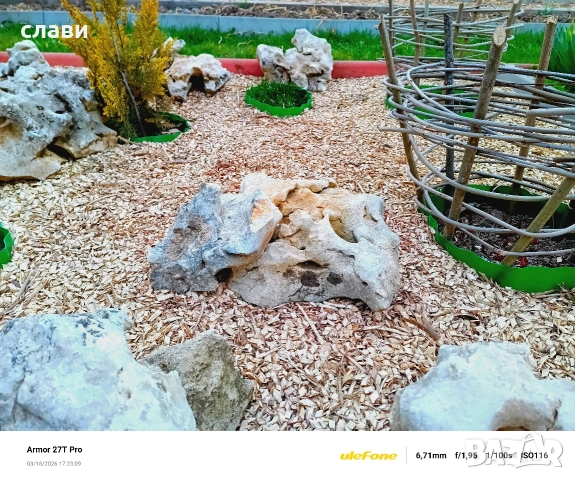 Мулч / Дървесен чипс / 100% Натурален , снимка 8 - Градински цветя и растения - 53591340