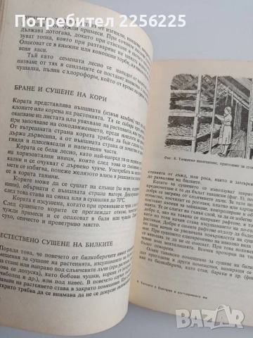 Билките в България, снимка 2 - Специализирана литература - 54763817