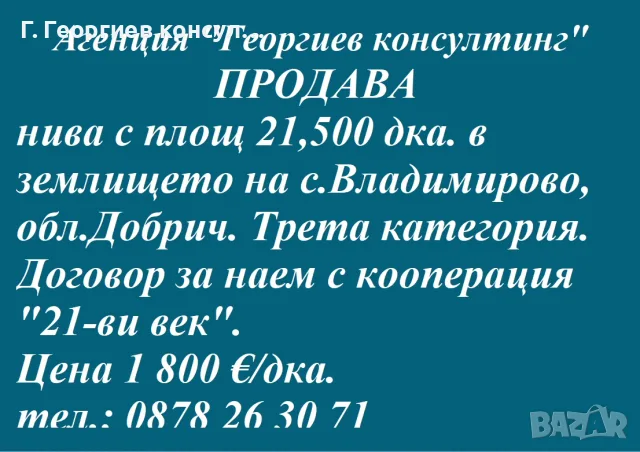 Нива с.Владимирово
