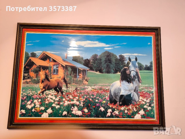 Картини, снимка 3 - Картини - 54887888