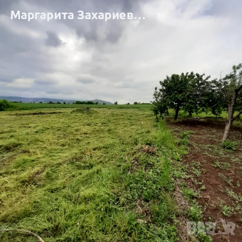 УПИ парцел 1320м2 Готов проект Разрешително за строеж Капитан Димитриево, снимка 6 - Парцели - 54363256