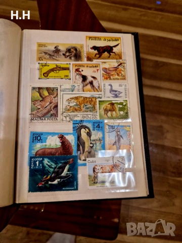 Колекционерски марки, снимка 3 - Филателия - 54195934