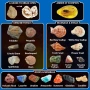Oбразователна STEM играчка Комплектът за разкопки PIBEX Volcano & Ocean Fossil Dig Kit, снимка 4