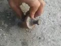 Инструменти различни видове, снимка 10