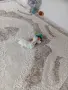 чихуахуа мини мъжки 3мец., снимка 6