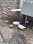 Патици три броя, снимка 1