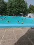  На минерален басейн -курорт Вършец , снимка 2