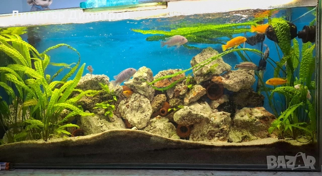Аквариум 273л. + шкаф