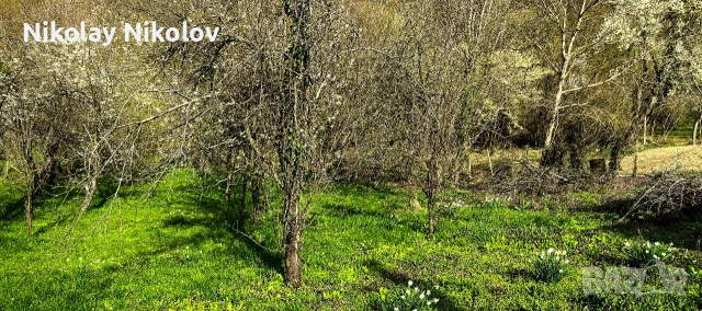 Продавам Вила Мах. Райковска гр. Троян, снимка 3 - Вили - 54264009