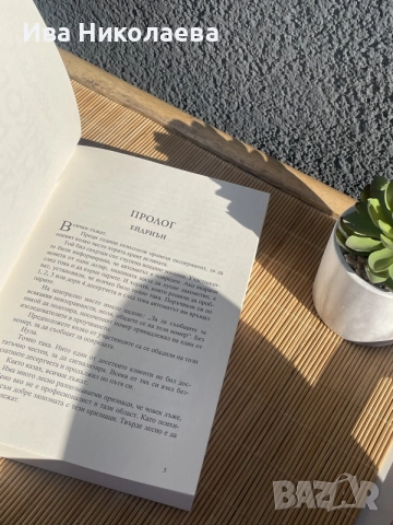 “Никога не ме лъжи” - книга от Фрида Макфадън, Never Lie thriller, снимка 4 - Художествена литература - 55465624