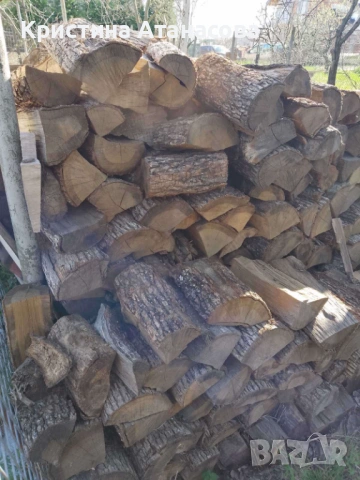 Дърва за огрев на изгодна цена (Пчелина, Варна), снимка 7 - Дърва за огрев - 54132141