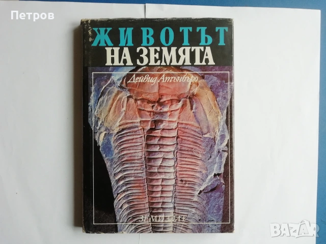 Шифърът на Леонардо, Шестото клеймо - Дан Браун, снимка 6 - Художествена литература - 51430342
