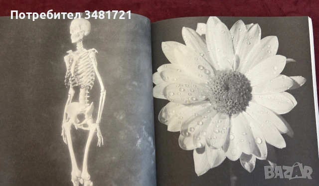 Polaroids from the Dead, снимка 12 - Биографии, мемоари и спомени - 55064854
