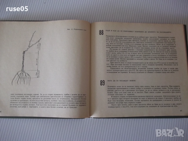 Книга "288 съвета за любителя лозар-Митко Ников" - 192 стр., снимка 6 - Наука, техника и компютри - 55038913
