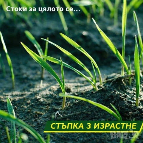 Подложка с тревни семена, биоразградима, подрязваща се, наторена, снимка 5 - Други - 55100935