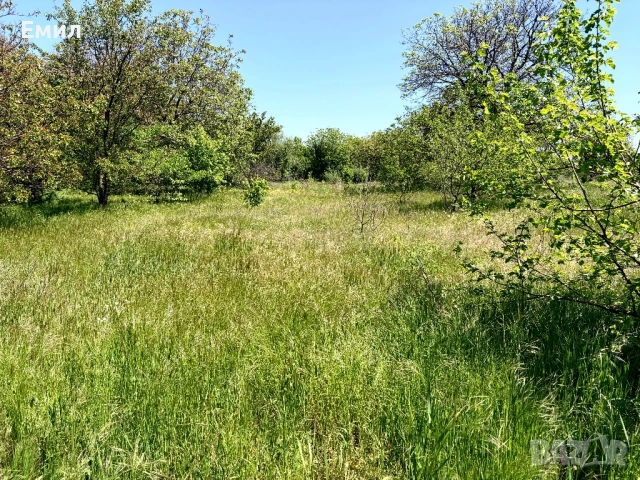 Продава ПАРЦЕЛ , гр.Видин, Промишлена зона СЕВЕР 12500 кв. м., снимка 6 - Парцели - 21645744