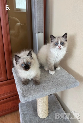 Готови за нов Дом, снимка 2 - Други - 54077705