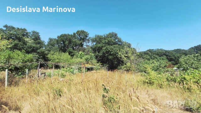 продавам парцел с ток и малка постройка Бровец - юг, снимка 10 - Парцели - 54818709