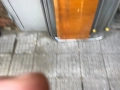 2  табли  за  русенско  легло  ., снимка 4