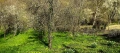 Продавам Вила Мах. Райковска гр. Троян, снимка 3