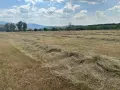 Ролонни бали сено, снимка 2