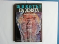 Шифърът на Леонардо, Шестото клеймо - Дан Браун, снимка 6