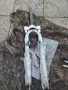 28 цола вилка за велосипед колело стержен 28.6, снимка 1
